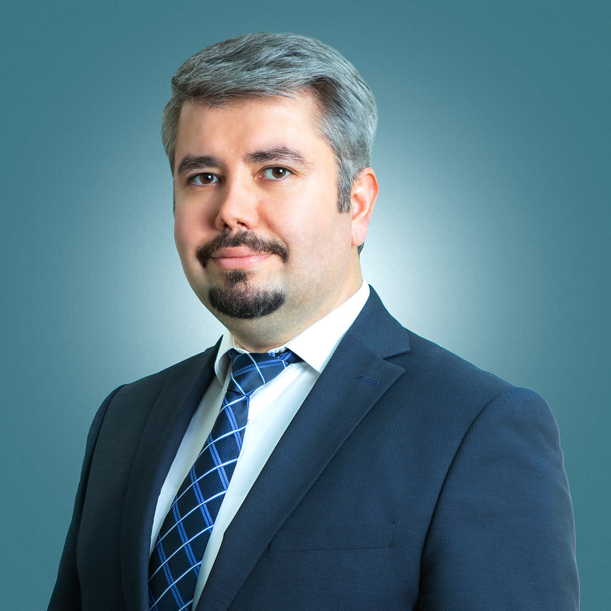 <p><strong>Эльчин Мамедов</strong></p>